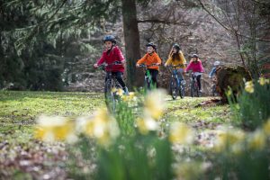 Children riding bikes through country park