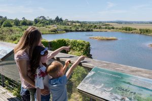 adult and children looking out over lough and wetlands