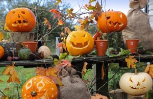 National Trust pumpkins