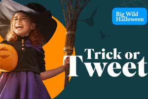 Graphic with girl dressed up as a witch holding a pumpkin