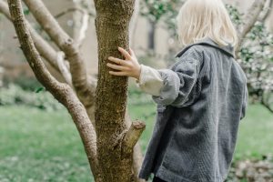 child climbing a tree