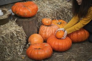 Pile of pumpkins with child