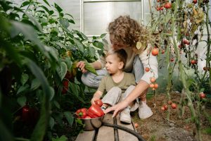 Mother and child garden harvesting peppers