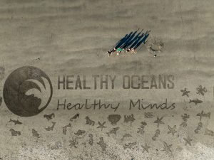 Healthy Oceans Healthy Minds Returns this August