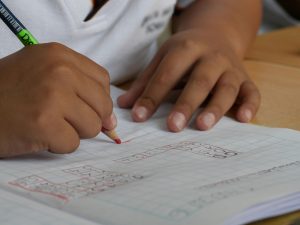 Urgent Call for Collaborative Action on Special Educational Needs (SEN) Provision