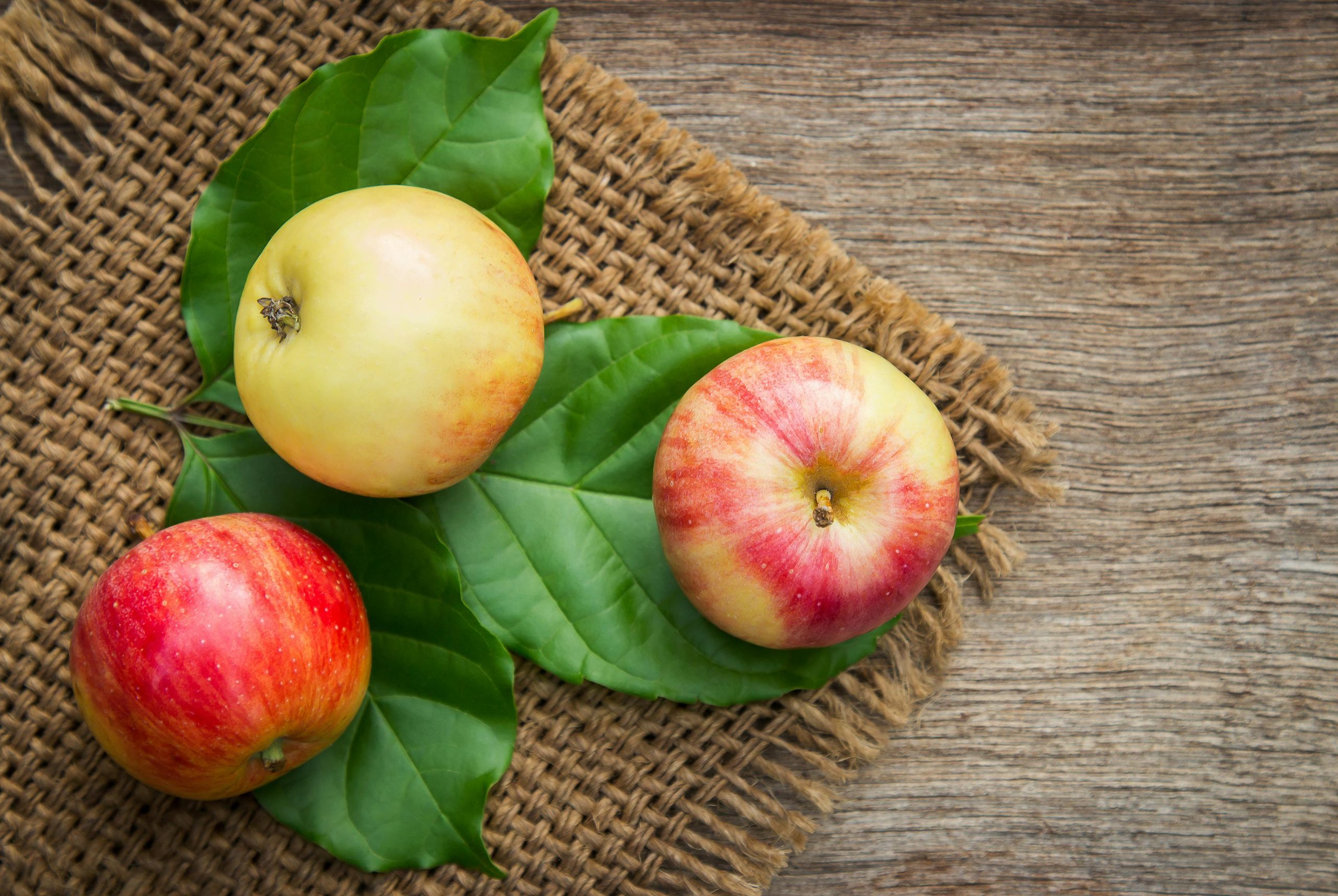Castlederg Apple Fair